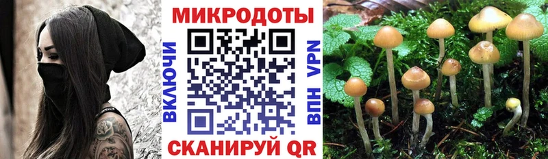 Псилоцибиновые грибы Magic Shrooms  Купить  Николаевск-на-Амуре 